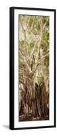 ¡Viva Mexico! Panoramic Collection - Jungle Trees III-Philippe Hugonnard-Framed Photographic Print