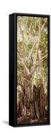 ¡Viva Mexico! Panoramic Collection - Jungle Trees III-Philippe Hugonnard-Framed Stretched Canvas