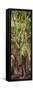 ¡Viva Mexico! Panoramic Collection - Jungle Trees-Philippe Hugonnard-Framed Stretched Canvas