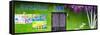 ¡Viva Mexico! Panoramic Collection - Kelly Green Dani Supermarket-Philippe Hugonnard-Framed Stretched Canvas