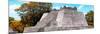 ¡Viva Mexico! Panoramic Collection - Maya Archaeological Site with Fall Colors - Campeche-Philippe Hugonnard-Mounted Photographic Print