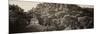 ¡Viva Mexico! Panoramic Collection - Mayan Ruins in Palenque at Sunrise-Philippe Hugonnard-Mounted Photographic Print