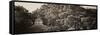 ¡Viva Mexico! Panoramic Collection - Mayan Ruins in Palenque at Sunrise-Philippe Hugonnard-Framed Stretched Canvas