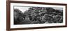 ¡Viva Mexico! Panoramic Collection - Mayan Ruins in Palenque at Sunrise-Philippe Hugonnard-Framed Photographic Print