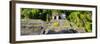 ¡Viva Mexico! Panoramic Collection - Mayan Ruins in Palenque II-Philippe Hugonnard-Framed Photographic Print