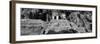 ¡Viva Mexico! Panoramic Collection - Mayan Ruins in Palenque III-Philippe Hugonnard-Framed Photographic Print