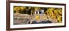 ¡Viva Mexico! Panoramic Collection - Mayan Ruins in Palenque with Fall Colors-Philippe Hugonnard-Framed Photographic Print