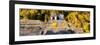 ¡Viva Mexico! Panoramic Collection - Mayan Ruins in Palenque with Fall Colors-Philippe Hugonnard-Framed Photographic Print