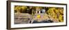 ¡Viva Mexico! Panoramic Collection - Mayan Ruins in Palenque with Fall Colors-Philippe Hugonnard-Framed Photographic Print