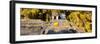 ¡Viva Mexico! Panoramic Collection - Mayan Ruins in Palenque with Fall Colors-Philippe Hugonnard-Framed Photographic Print