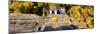 ¡Viva Mexico! Panoramic Collection - Mayan Ruins in Palenque with Fall Colors-Philippe Hugonnard-Mounted Photographic Print