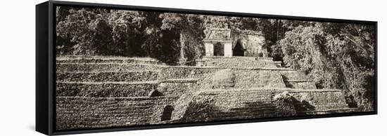 ¡Viva Mexico! Panoramic Collection - Mayan Ruins in Palenque-Philippe Hugonnard-Framed Stretched Canvas