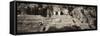 ¡Viva Mexico! Panoramic Collection - Mayan Ruins in Palenque-Philippe Hugonnard-Framed Stretched Canvas