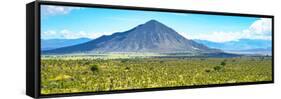 ¡Viva Mexico! Panoramic Collection - Mexican Desert-Philippe Hugonnard-Framed Stretched Canvas