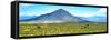 ¡Viva Mexico! Panoramic Collection - Mexican Desert-Philippe Hugonnard-Framed Stretched Canvas