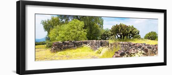 ¡Viva Mexico! Panoramic Collection - Mexican Vegetation-Philippe Hugonnard-Framed Photographic Print