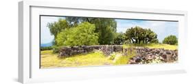 ¡Viva Mexico! Panoramic Collection - Mexican Vegetation-Philippe Hugonnard-Framed Photographic Print