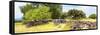 ¡Viva Mexico! Panoramic Collection - Mexican Vegetation-Philippe Hugonnard-Framed Stretched Canvas