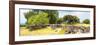 ¡Viva Mexico! Panoramic Collection - Mexican Vegetation-Philippe Hugonnard-Framed Photographic Print