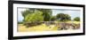 ¡Viva Mexico! Panoramic Collection - Mexican Vegetation-Philippe Hugonnard-Framed Photographic Print