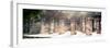 ¡Viva Mexico! Panoramic Collection - One Thousand Mayan Columns - Chichen Itza II-Philippe Hugonnard-Framed Photographic Print