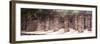 ¡Viva Mexico! Panoramic Collection - One Thousand Mayan Columns - Chichen Itza IV-Philippe Hugonnard-Framed Premium Photographic Print