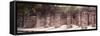 ¡Viva Mexico! Panoramic Collection - One Thousand Mayan Columns - Chichen Itza IV-Philippe Hugonnard-Framed Stretched Canvas