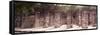 ¡Viva Mexico! Panoramic Collection - One Thousand Mayan Columns - Chichen Itza IV-Philippe Hugonnard-Framed Stretched Canvas