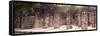 ¡Viva Mexico! Panoramic Collection - One Thousand Mayan Columns - Chichen Itza IV-Philippe Hugonnard-Framed Stretched Canvas