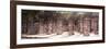 ¡Viva Mexico! Panoramic Collection - One Thousand Mayan Columns - Chichen Itza IV-Philippe Hugonnard-Framed Photographic Print