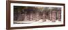 ¡Viva Mexico! Panoramic Collection - One Thousand Mayan Columns - Chichen Itza IV-Philippe Hugonnard-Framed Photographic Print