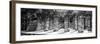 ¡Viva Mexico! Panoramic Collection - One Thousand Mayan Columns - Chichen Itza-Philippe Hugonnard-Framed Photographic Print