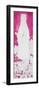 ¡Viva Mexico! Panoramic Collection - Pink Coke-Philippe Hugonnard-Framed Premium Photographic Print