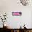 ¡Viva Mexico! Panoramic Collection - Pink Papeleria Estrella-Philippe Hugonnard-Framed Stretched Canvas displayed on a wall