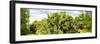 ¡Viva Mexico! Panoramic Collection - Prickly Pear Cactus IV-Philippe Hugonnard-Framed Photographic Print