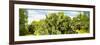 ¡Viva Mexico! Panoramic Collection - Prickly Pear Cactus IV-Philippe Hugonnard-Framed Photographic Print