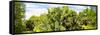 ¡Viva Mexico! Panoramic Collection - Prickly Pear Cactus IV-Philippe Hugonnard-Framed Stretched Canvas