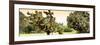 ¡Viva Mexico! Panoramic Collection - Prickly Pear Cactus-Philippe Hugonnard-Framed Photographic Print