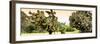¡Viva Mexico! Panoramic Collection - Prickly Pear Cactus-Philippe Hugonnard-Framed Premium Photographic Print