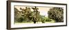 ¡Viva Mexico! Panoramic Collection - Prickly Pear Cactus-Philippe Hugonnard-Framed Photographic Print