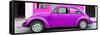 ¡Viva Mexico! Panoramic Collection - Purple VW Beetle Car-Philippe Hugonnard-Framed Stretched Canvas