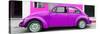 ¡Viva Mexico! Panoramic Collection - Purple VW Beetle Car-Philippe Hugonnard-Stretched Canvas