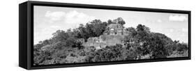 ¡Viva Mexico! Panoramic Collection - Pyramid in Mayan City of Calakmul VI-Philippe Hugonnard-Framed Stretched Canvas