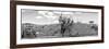 ¡Viva Mexico! Panoramic Collection - Pyramid of Cantona Archaeological Ruins IV-Philippe Hugonnard-Framed Photographic Print