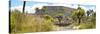 ¡Viva Mexico! Panoramic Collection - Pyramid of Cantona Archaeological Ruins V-Philippe Hugonnard-Stretched Canvas