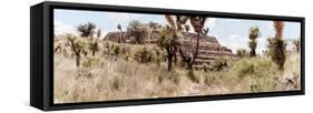 ¡Viva Mexico! Panoramic Collection - Pyramid of Cantona Archaeological Site I-Philippe Hugonnard-Framed Stretched Canvas