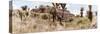 ¡Viva Mexico! Panoramic Collection - Pyramid of Cantona Archaeological Site I-Philippe Hugonnard-Stretched Canvas
