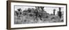 ¡Viva Mexico! Panoramic Collection - Pyramid of Cantona Archaeological Site II-Philippe Hugonnard-Framed Photographic Print