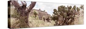 ¡Viva Mexico! Panoramic Collection - Pyramid of Cantona Archaeological Site IV-Philippe Hugonnard-Stretched Canvas