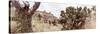 ¡Viva Mexico! Panoramic Collection - Pyramid of Cantona Archaeological Site IV-Philippe Hugonnard-Stretched Canvas